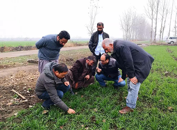 1544004307360564.jpg 2.jpg