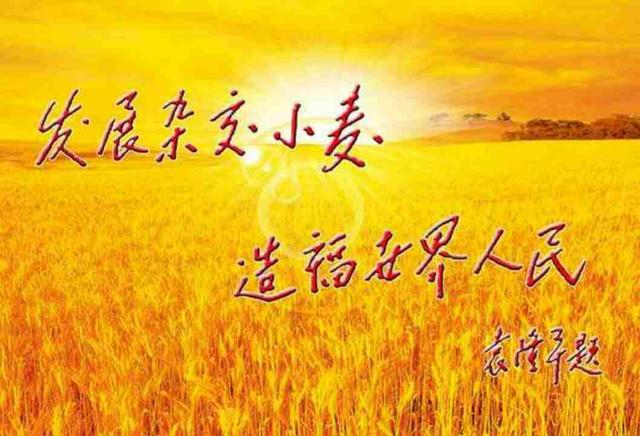 1560128182425590.jpg 8.jpg